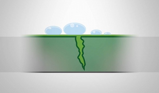 image_DEEP_P_2